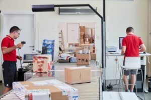 Operador vs. integrador logístico